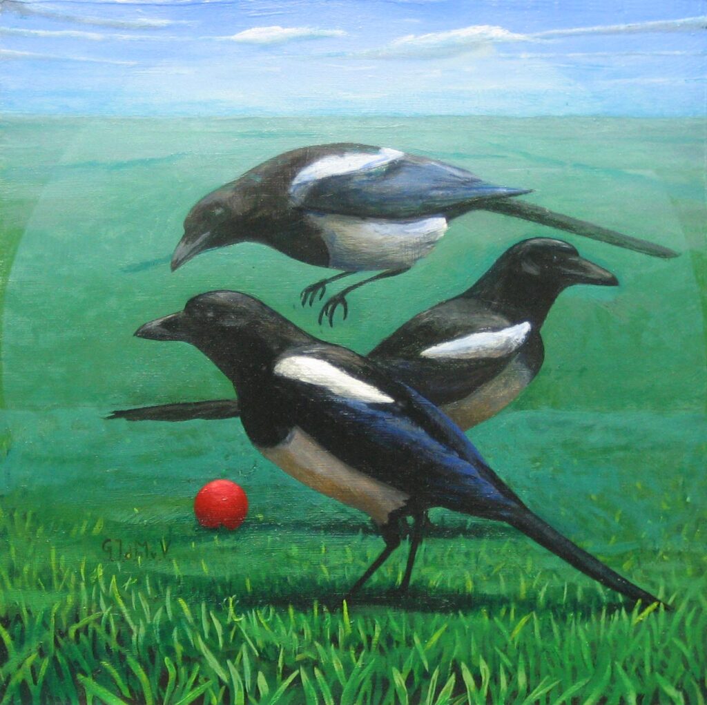 Magpies playing with a red ball