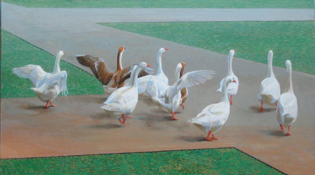 Geese fleeing from the portfolio