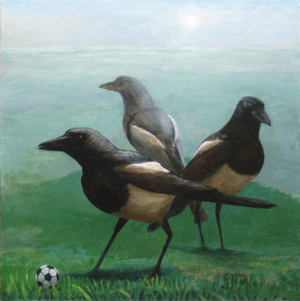 Magpies playing soccer