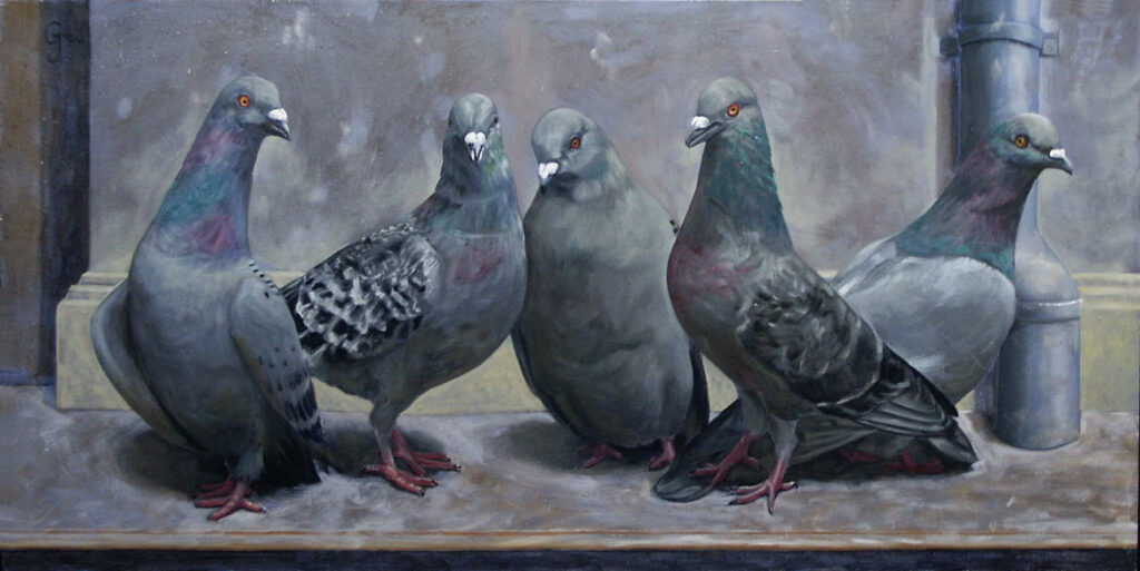 Pigeons posting together a portfolio