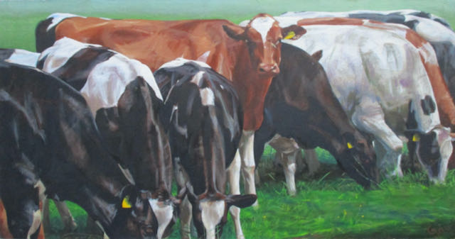 A portfolio of cows